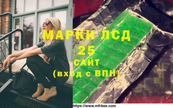 хмурый Алзамай