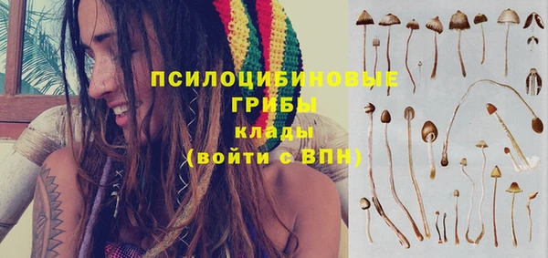 прущий лед Алексин