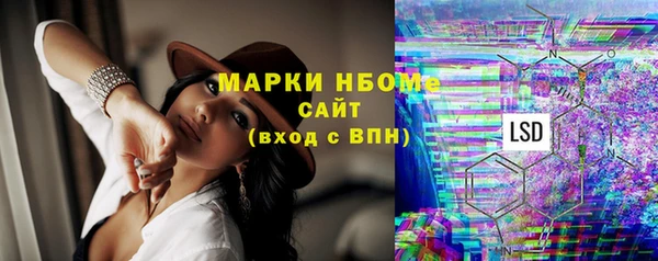хмурый Алзамай