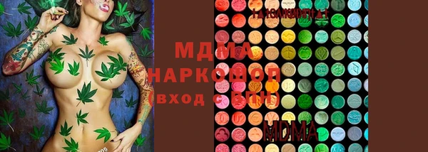 хмурый Алзамай