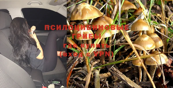 винт Алексеевка