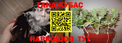 ECSTASY Свободный