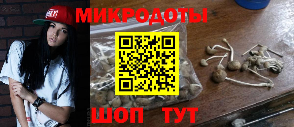 Галлюциногенные грибы прущие грибы Старый Оскол