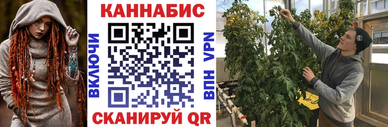 Бошки марихуана конопля  где купить наркоту  Старый Оскол 